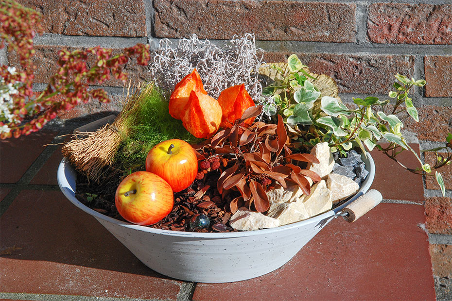 Foto aus der Fotogruppe 